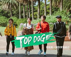 51直播《TOP DOG》免费在线观看