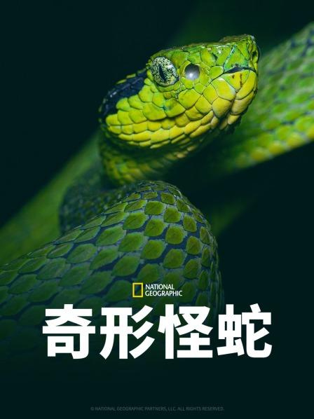 51社区《奇形怪蛇》免费在线观看